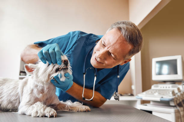 Best Emergency TMJ Treatment in Lyndhurst, VA